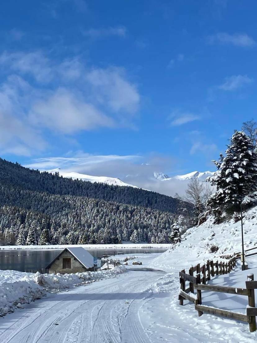 Gite Du Montagnol A Payolle Sainte-Marie-de-Campan Eksteriør billede