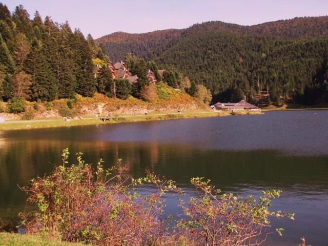 Gite Du Montagnol A Payolle Sainte-Marie-de-Campan Eksteriør billede